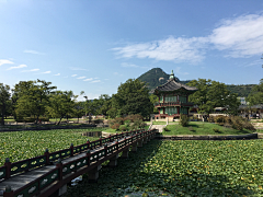 xiaopei1985采集到旅行