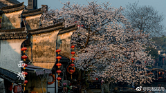 天空瓦蓝瓦蓝采集到艺术-水墨中国