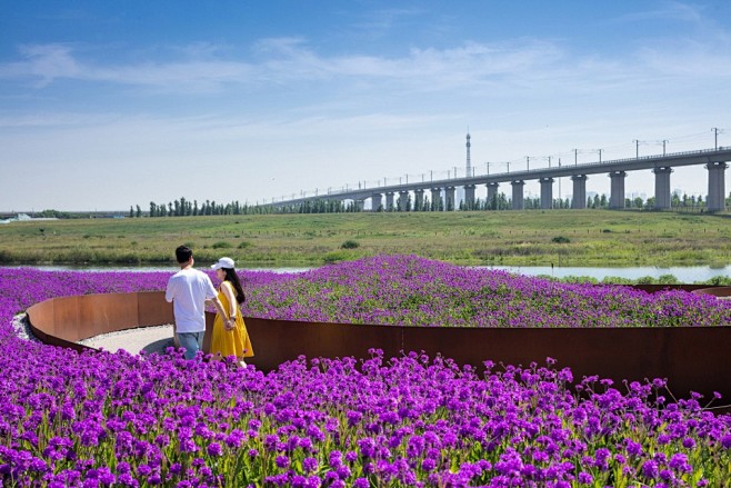 沣河（文教园段）湿地生态公园，西安 / ...