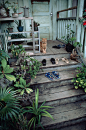 A well-worn stairway leads to a house on Oahu&#;8217s North Shore, November 1979.Photograph by Robert Madden, National Geographic