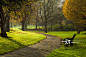 UK, England, East Sussex, Brighton, Coldean, Autumn afternoon in park