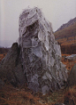 Andy Goldsworthy: 