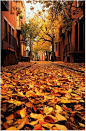 费城的秋季。美国