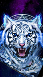 FURCHTLOS !! Eis Neon Tiger Wallpaper Theme. #Tierwelt  wallpaper themes