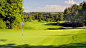Lionhead Golf & Country Club - Cohere Design : A 36 hole championship golf course and large practice facility, the course has been built in conjunction with a premier residential community. The 18 hole Legends course is built almost entirely within th
