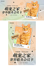 宠物猫宠物店banner宣传海报-源文件