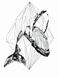 Geometric whale art print by samanthajanemargaret on Etsy: 