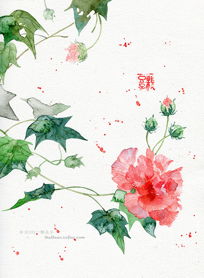 水彩插画——芙蓉-Jessie一颗豆子_...