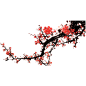 【经典音图*免抠素材】最新编辑免抠透明音图素材【二】免抠花朵素材，新手做音图的福音 - 佳人有约【飞飞】 - 网易博客素材、教程、代码基地