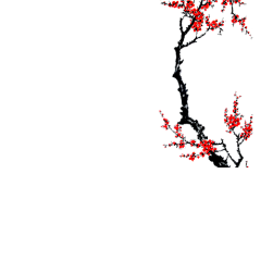 乐丝果扣采集到222