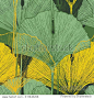 Tropical ginkgo biloba leaves. Hand Drawn Seamless Vector Pattern.