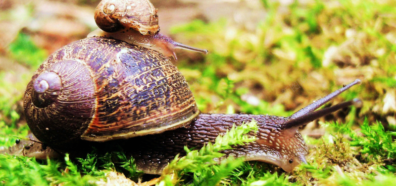 112dadc8befd697d258ef29ed11fbc5f886cdb015fbcc-klBpzP