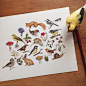 插画师Polly Fern Sergeant在作画时她的宠物鸟儿Ernes 都会在一旁认真的观看，可爱极了。
