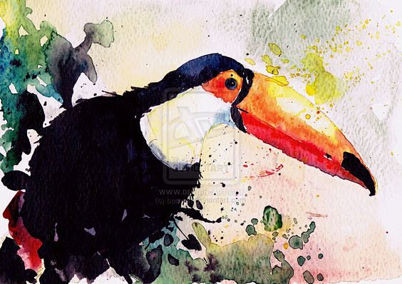 Toucan by bemain on ...