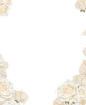 【免费背景／素材】白蔷薇+鸟笼的任意组合，依… - 半次元 - ACG爱好者社区