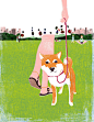 A shibainu in Central Park on Behance