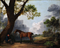 George Stubbs - The Third Duke of Dorset’s Hunter with a Groom and a Dog. Metropolitan Museum: part 1