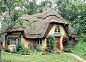 This may contain: a small house with a thatched roof in the middle of some trees and grass