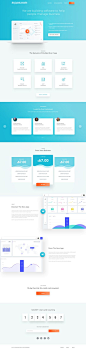 SaaS Software Landing Page: 