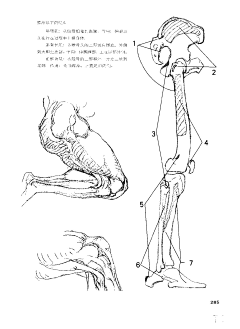 魔法金羊毛采集到【A】体态参考——伯里曼速写