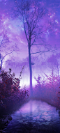 Morning Mist: #purple haze, better than rose-colored glasses (o-o) #DigitalArt ♥ #photo manipulation by Danielle