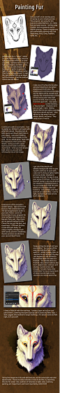 Painting Process/ Fur Tutorial by ~Stalcry on deviantART #采集大赛# #插画#