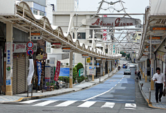 猫琪meows采集到日本及北海道