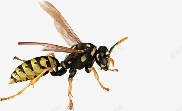 11a09e809d6586533160b13b54165d6ce7ee31da4378-q3SBn3