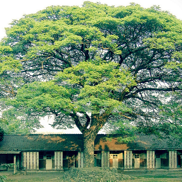 生活在日本