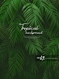 Tropical Background 007