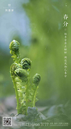 嗯饕餮耄耋玛雅666采集到节日--春分