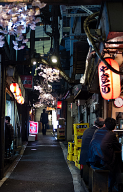 古君Freya采集到灵感