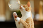 Bubble by rampx on Flickr.

Bubble