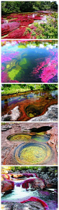 [哥伦比亚彩虹河] 你见过么？美得惊艳！哥伦比亚有一条名叫CanoCristales的河，河里有不同颜色的藻类植物，由于它在每年的一段时期内会显现好几种颜色，人们把它称为彩虹河或五色河~ 只是此景只昙花一现~~！！