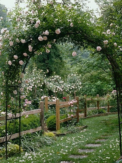 花园里，那个唯美的玫瑰门