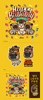 I'm A Pug ! (2014) on Behance