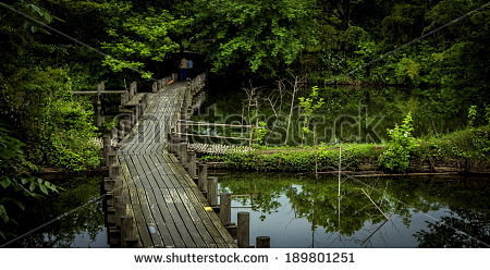 西溪湿地xixi wetland - s...