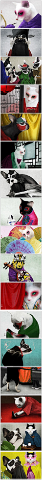 当喵星人和汪星人遇上脸谱 | 日本女设计师、插画家吉田依子(Yoriko Yoshida)的一组作品，将猫狗宠物与脸谱造型相融合。
