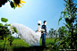 长沙韩式婚纱照照片照片-长沙韩式婚纱照照片图片-长沙韩式婚纱照照片素材