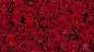 ID-943026-排列整齐的红色玫瑰花瓣壁纸高清大图