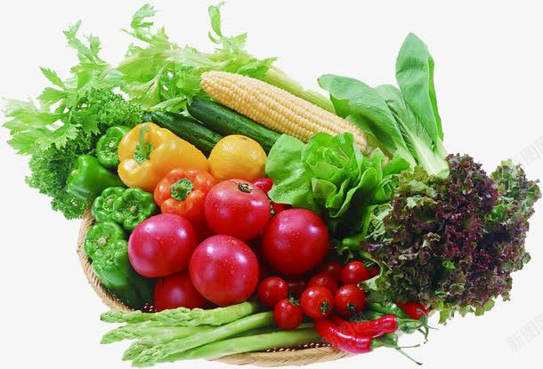 1226bc8d0b87d1d5e0142bba1e73d95333941b65a8c9-o18R5x