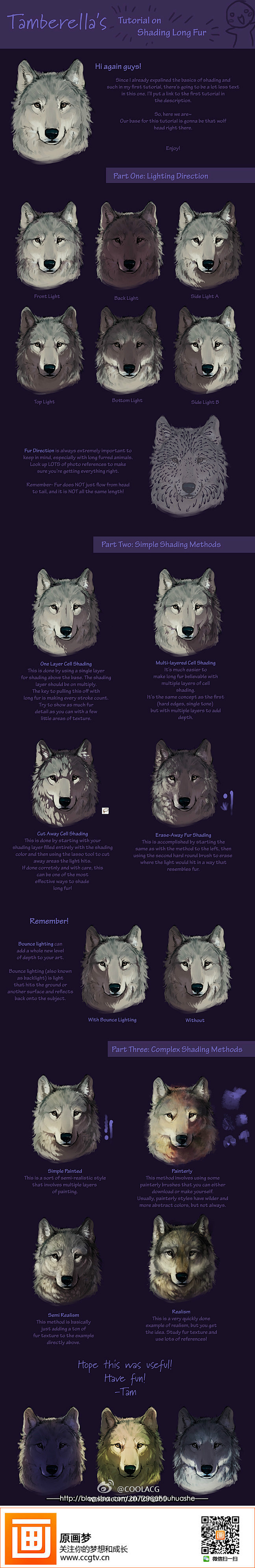 【绘画教材】狼的头部光影变化解析,非常赞...