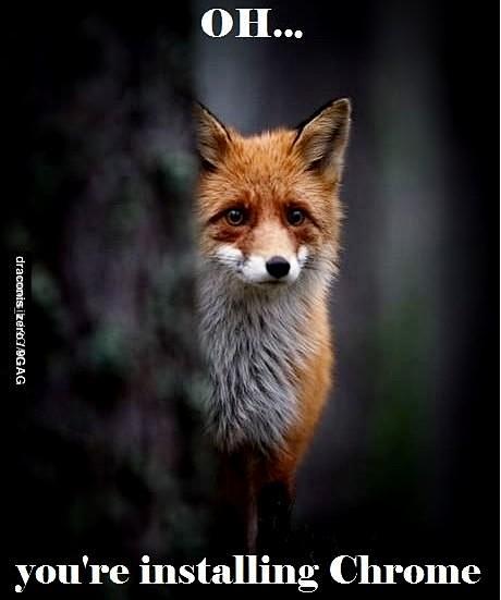 Sad Firefox is sad..