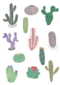 Cactus, Cacti Illustration print. Wall art. Wall decor by illustrator amyisla.: 