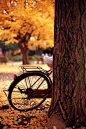 autumn bike ride