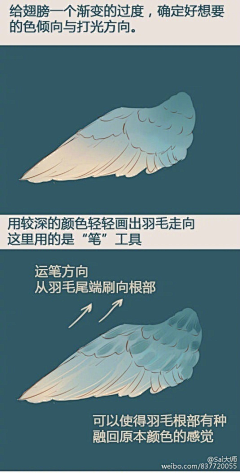 黑骑士素材采集到翅膀