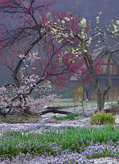 🌸艳儿🌸【拒聊】采集到美景