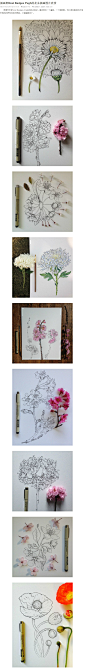 插画师Noel Badges Pugh的花朵插画图片欣赏 