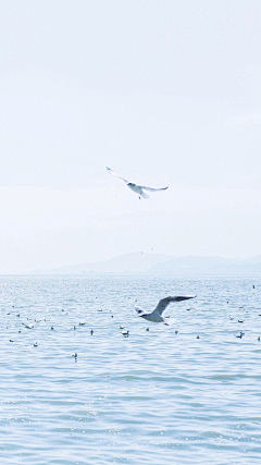 miss泰蜜采集到风景