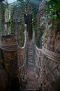 Bridge in the Rain Forest at the Henry Doorly Zoo in Omaha, Nebraska